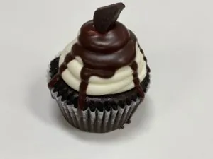 Chocolate cupcake with chocolate glaze and chocolate topping